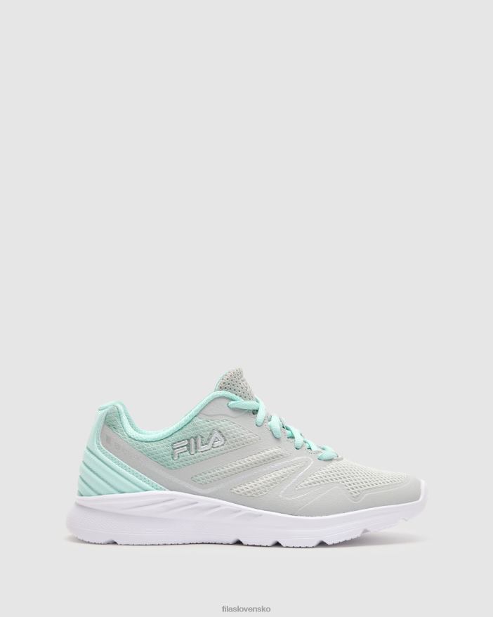 glaciergray/fairaqua/biela